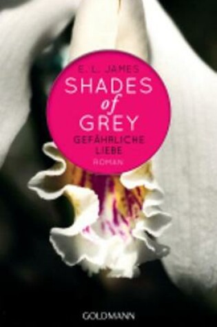 Shades of Grey 2/Gefahrliche Liebe