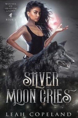 Cover of Silver Moon Cries
