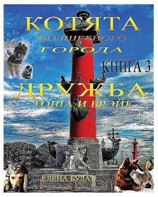 Book cover for Котята Волшебного Города. Книга 3