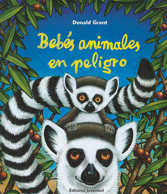 Book cover for Bebes Animales en Peligro