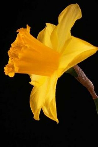 Cover of Yellow Daffodil (for the Love of Flowers)