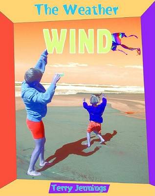 Book cover for Wind