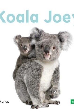 Cover of Koala Joeys