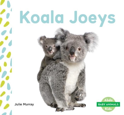 Book cover for Koala Joeys