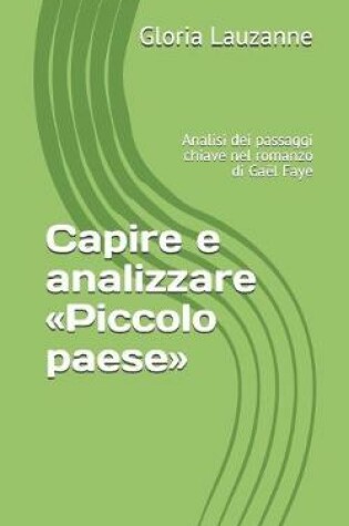 Cover of Capire e analizzare Piccolo paese