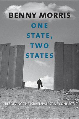 Book cover for One State, Two States