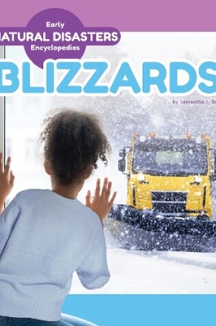 Cover of Blizzards