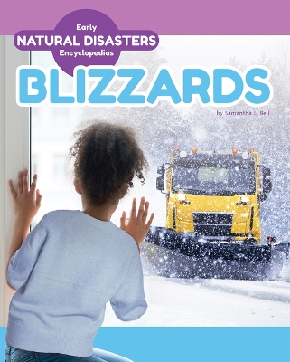 Cover of Blizzards