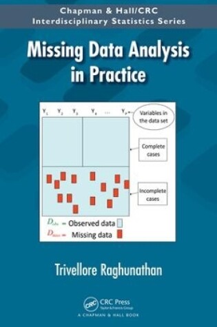 Cover of Missing Data Analysis in Practice