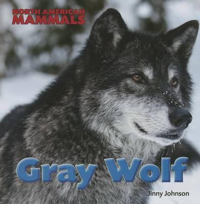 Book cover for Gray Wolf