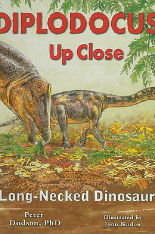 Cover of Diplodocus Up Close