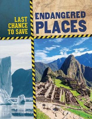 Book cover for Endangered Places