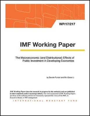 Book cover for The Macroeconomic (and Distributional) Effects of Public Investment in Developing Economies