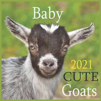 Book cover for CUTE Baby Goats 2021