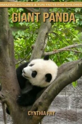 Cover of Giant Panda