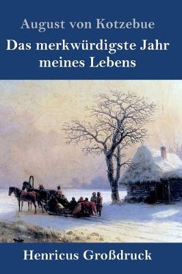 Book cover for Das merkwürdigste Jahr meines Lebens (Großdruck)