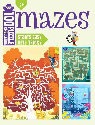 Book cover for 100 Puzzle Challenge: Mazes