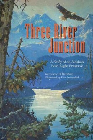 Cover of Three River Junction