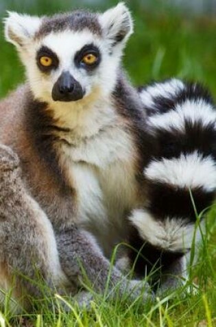 Cover of Mind Blowing Cute Ring Tailed Lemur Journal