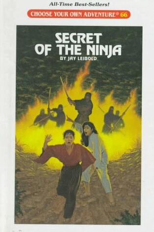 Cover of Secret of the Ninja