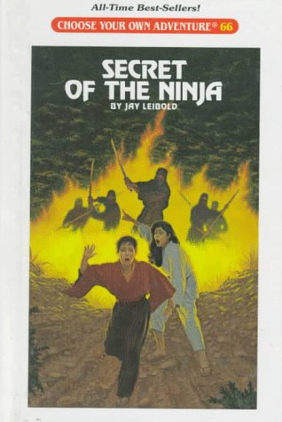 Book cover for Secret of the Ninja