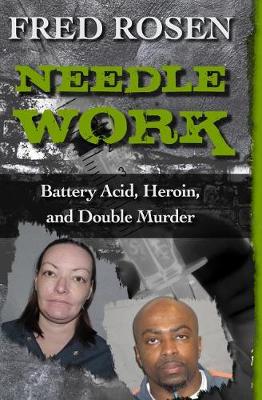 Book cover for Needle Work