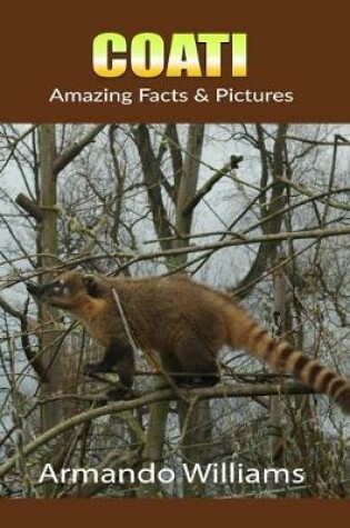 Cover of Coati