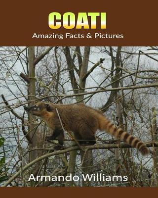 Book cover for Coati