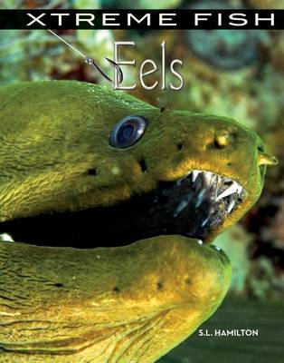 Cover of Eels