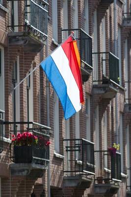 Book cover for The Netherlands Flag on Display