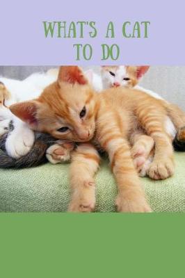 Book cover for Whats a Cat to do