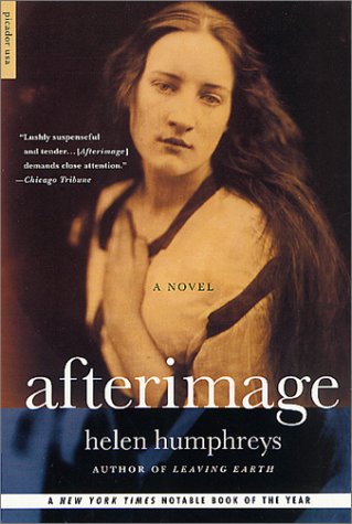 Book cover for Afterimage