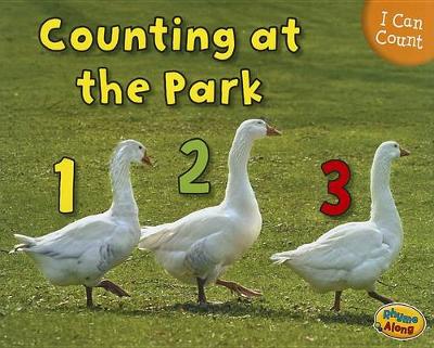 Book cover for Counting at the Park (I Can Count!)