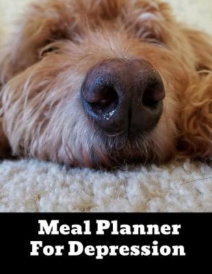 Book cover for Meal Planner For Depression