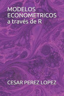 Book cover for MODELOS ECONOMETRICOS a traves de R