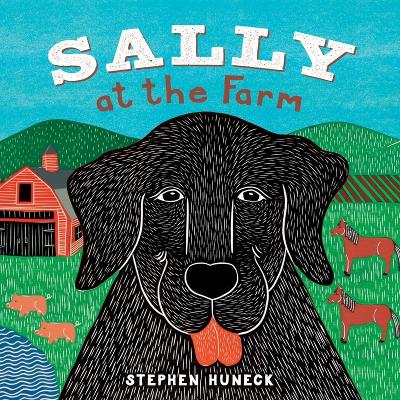 Book cover for Sally at the Farm