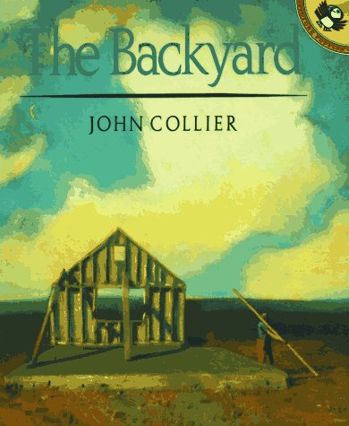 Book cover for The Backyard