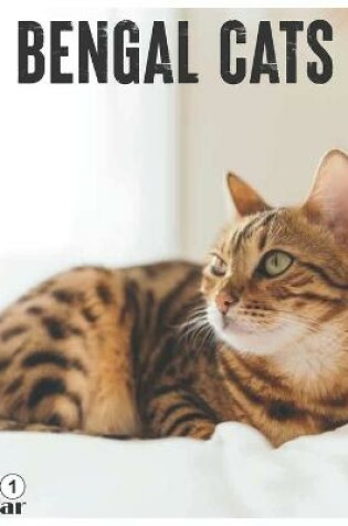 Cover of Bengal Cats 2021 Calendar