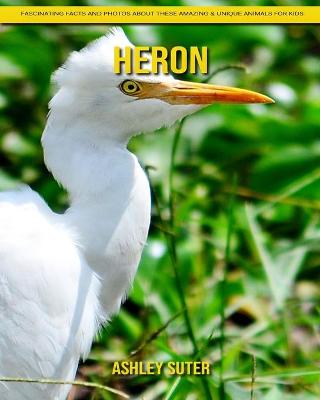 Book cover for Heron