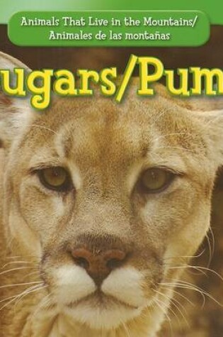 Cover of Cougars / Puma