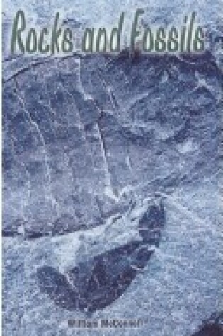 Cover of Rocks and Fossils