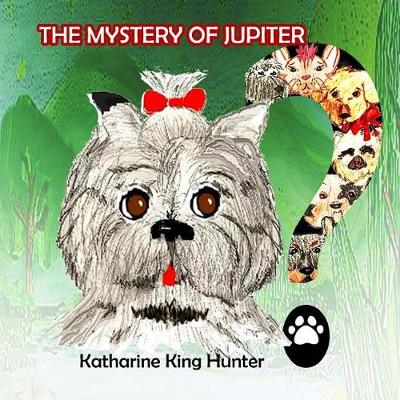 Book cover for The Mystery of Jupiter