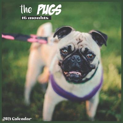 Book cover for The Pugs 2021 Calendar