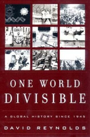 Cover of One World Divisible
