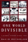 Book cover for One World Divisible