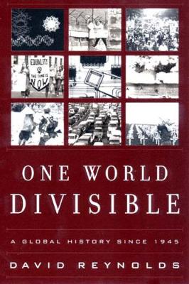 Book cover for One World Divisible