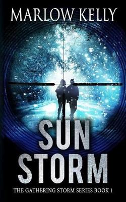 Book cover for Sun Storm