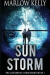 Book cover for Sun Storm