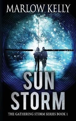 Book cover for Sun Storm