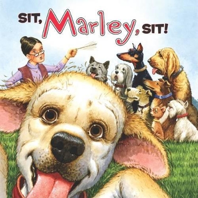 Book cover for Sit, Marley, Sit!